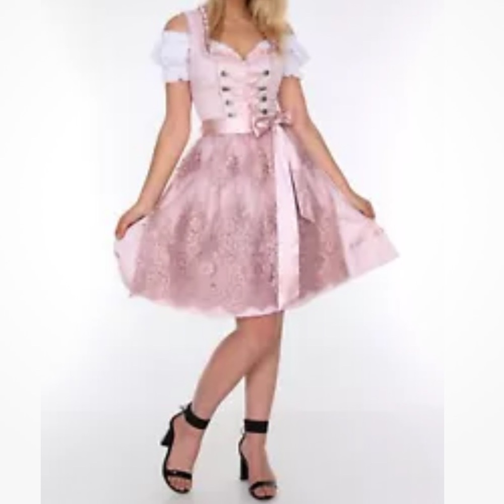 NWOT German Dirndl size 38 pink